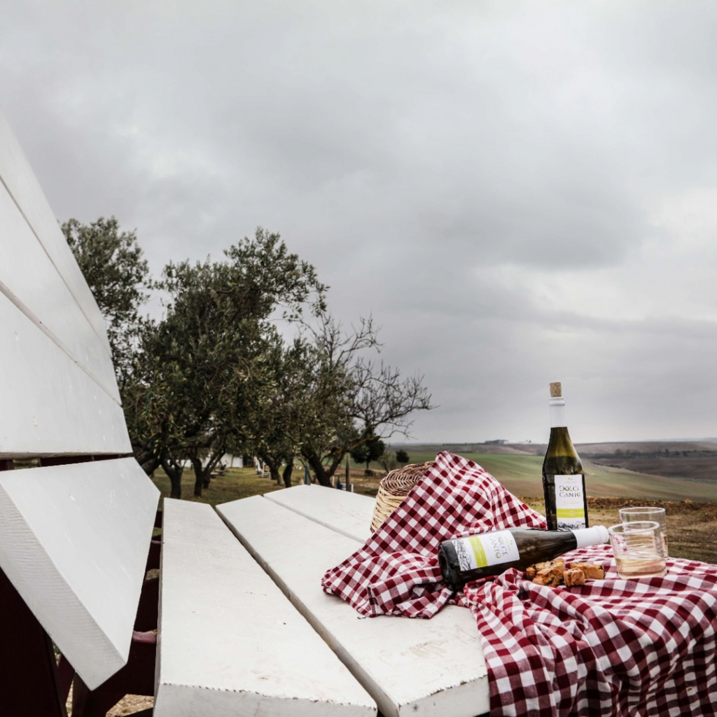 TOUR DELLA MASSERIA E DEGUSTAZIONE DI VINI A GRAVINA IN PUGLIA