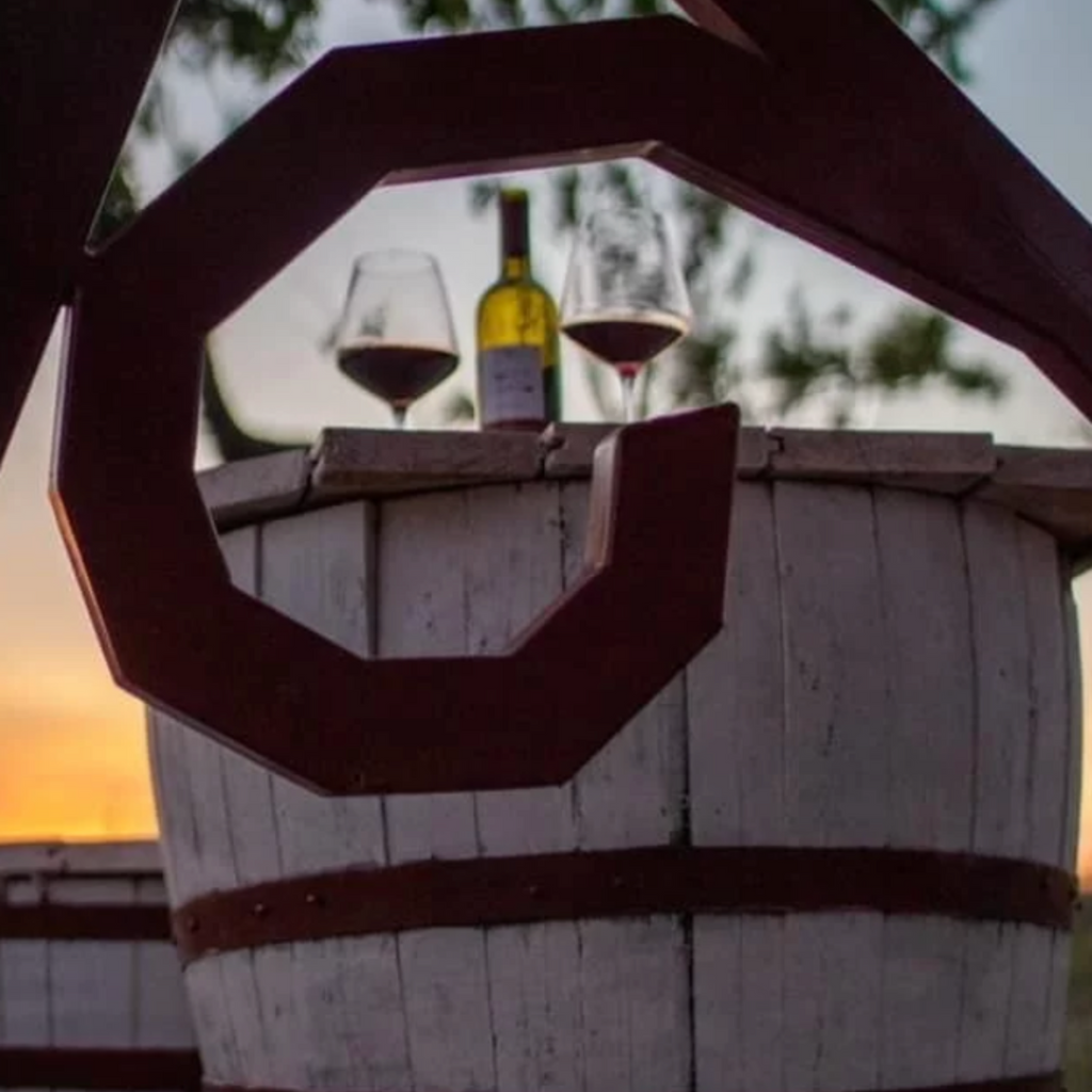 DEGUSTAZIONE DI VINI E VISITA IN MASSERIA PRESSO IL BELVEDERE DOLCECANTO - NEL CUORE DEL PARCO NAZIONALE DELL'ALTA MURGIA