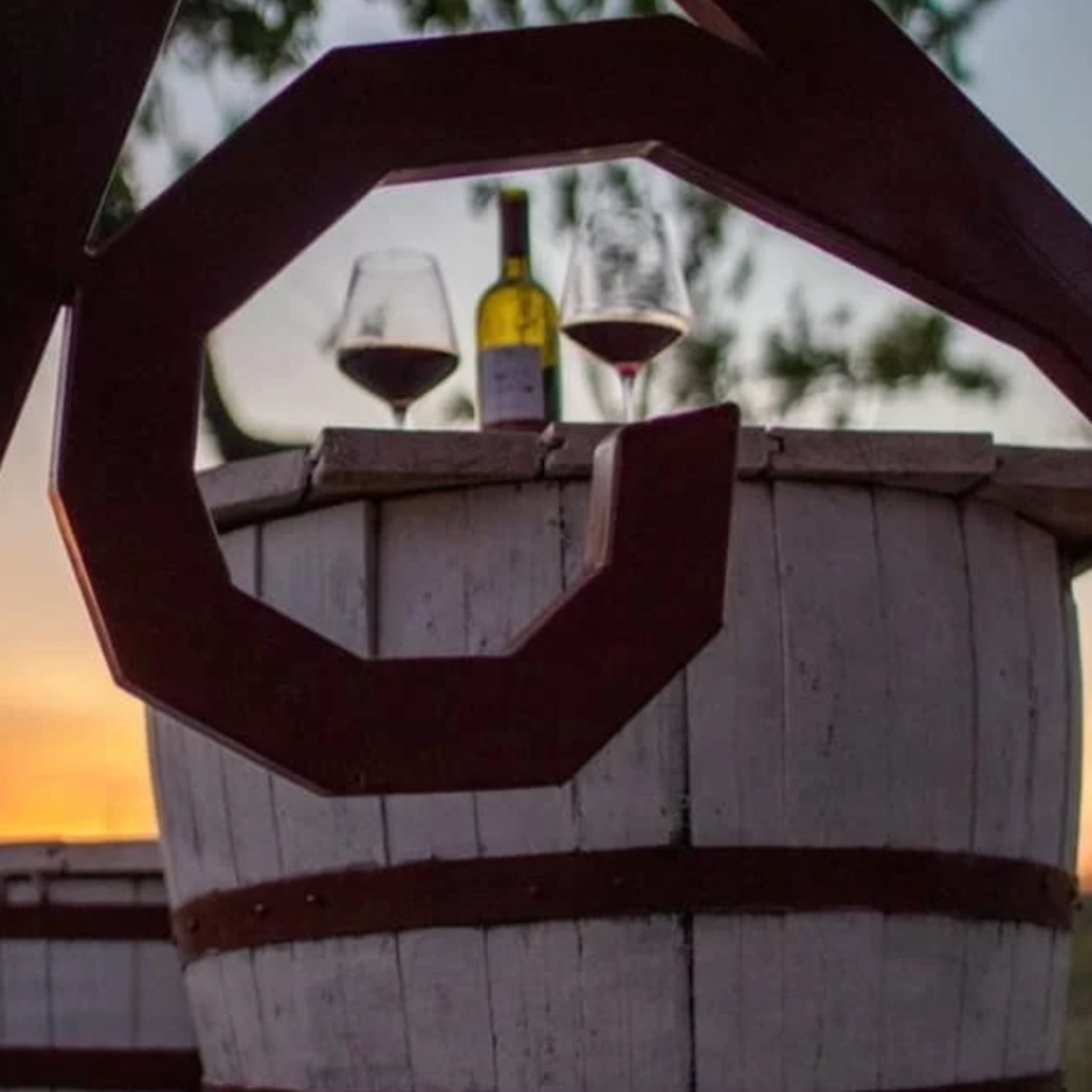 DEGUSTAZIONE DI VINI E VISITA IN MASSERIA PRESSO IL BELVEDERE DOLCECANTO - NEL CUORE DEL PARCO NAZIONALE DELL'ALTA MURGIA