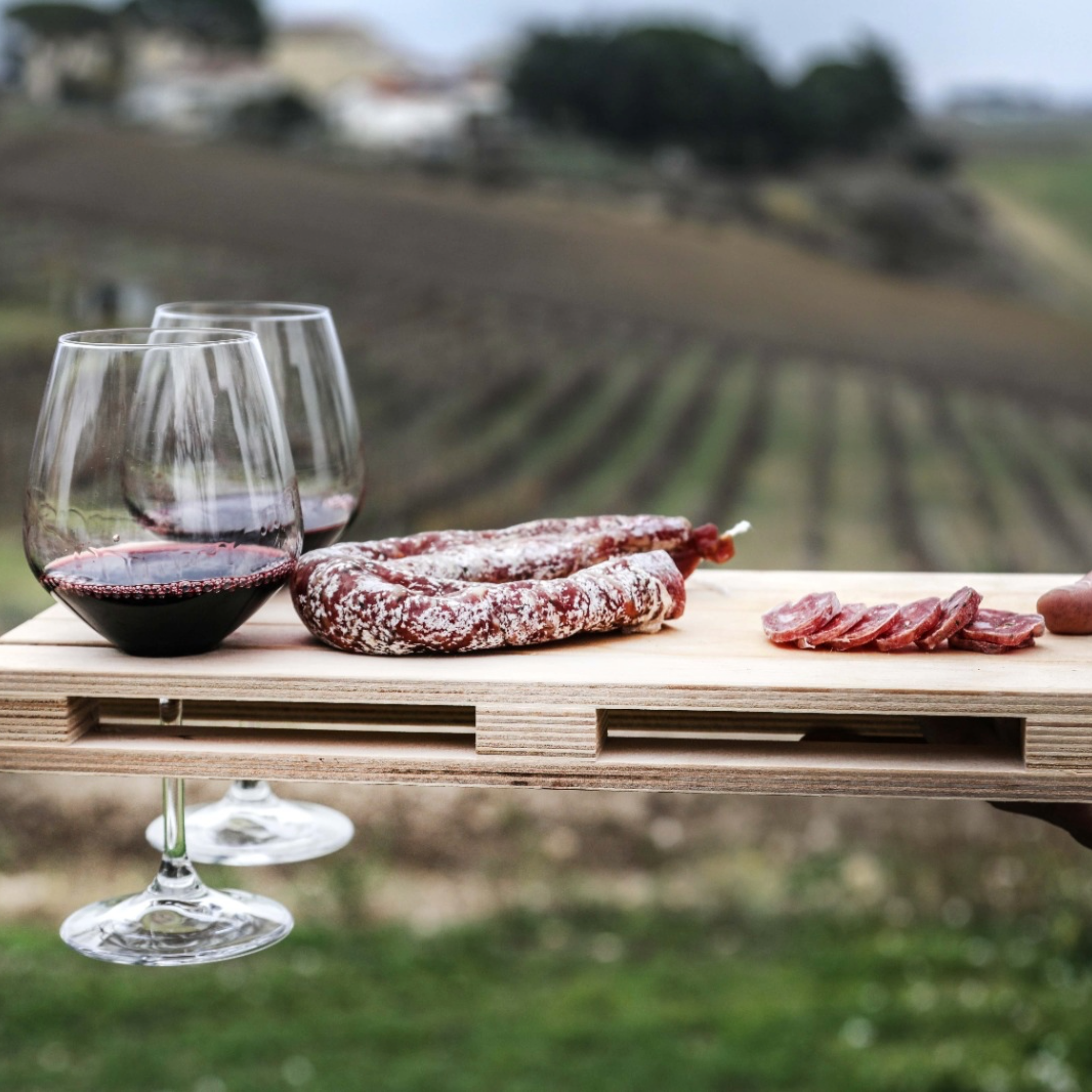 TOUR DELLA MASSERIA E DEGUSTAZIONE DI VINI A GRAVINA IN PUGLIA