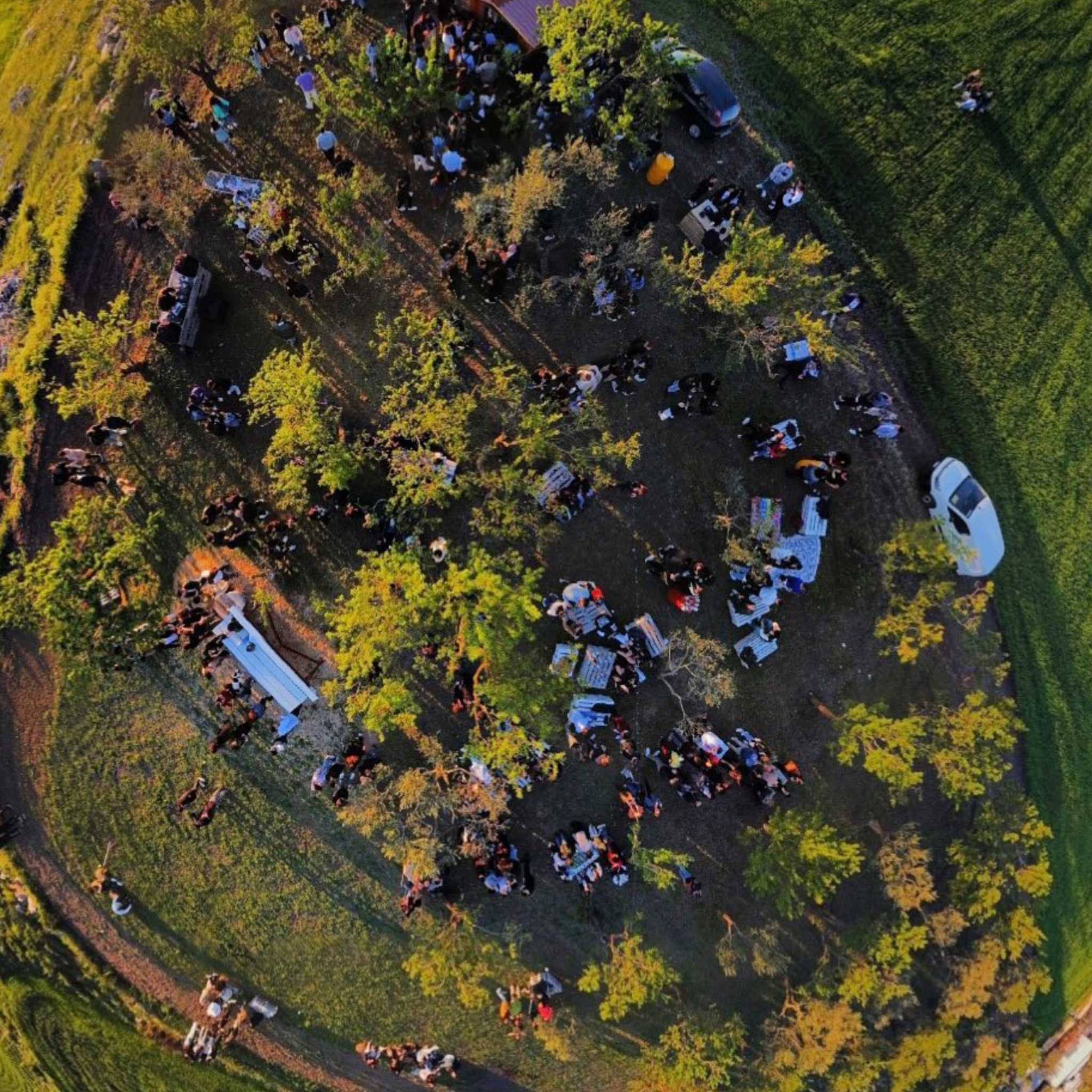 DEGUSTAZIONE DI VINI E VISITA IN MASSERIA PRESSO IL BELVEDERE DOLCECANTO - NEL CUORE DEL PARCO NAZIONALE DELL'ALTA MURGIA
