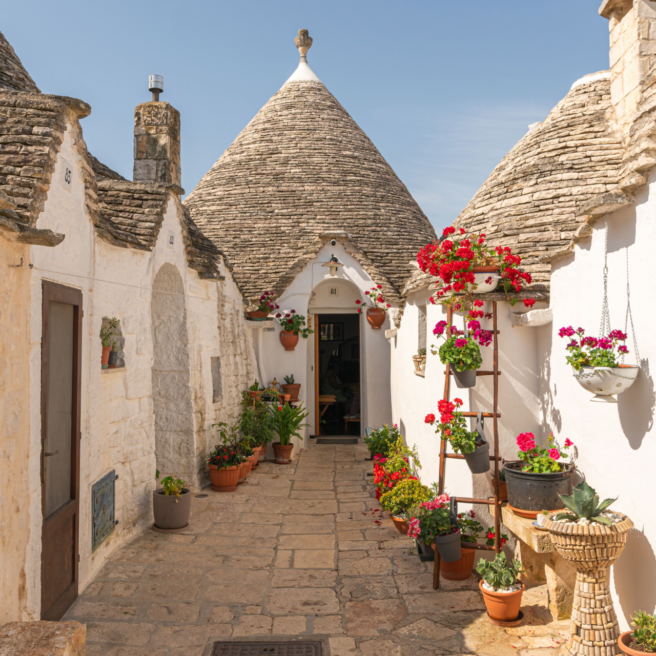 Puglia e Basilicata in 3 Giorni: Tour Altamura, Matera, Alberobello e Gravina Sotterranea