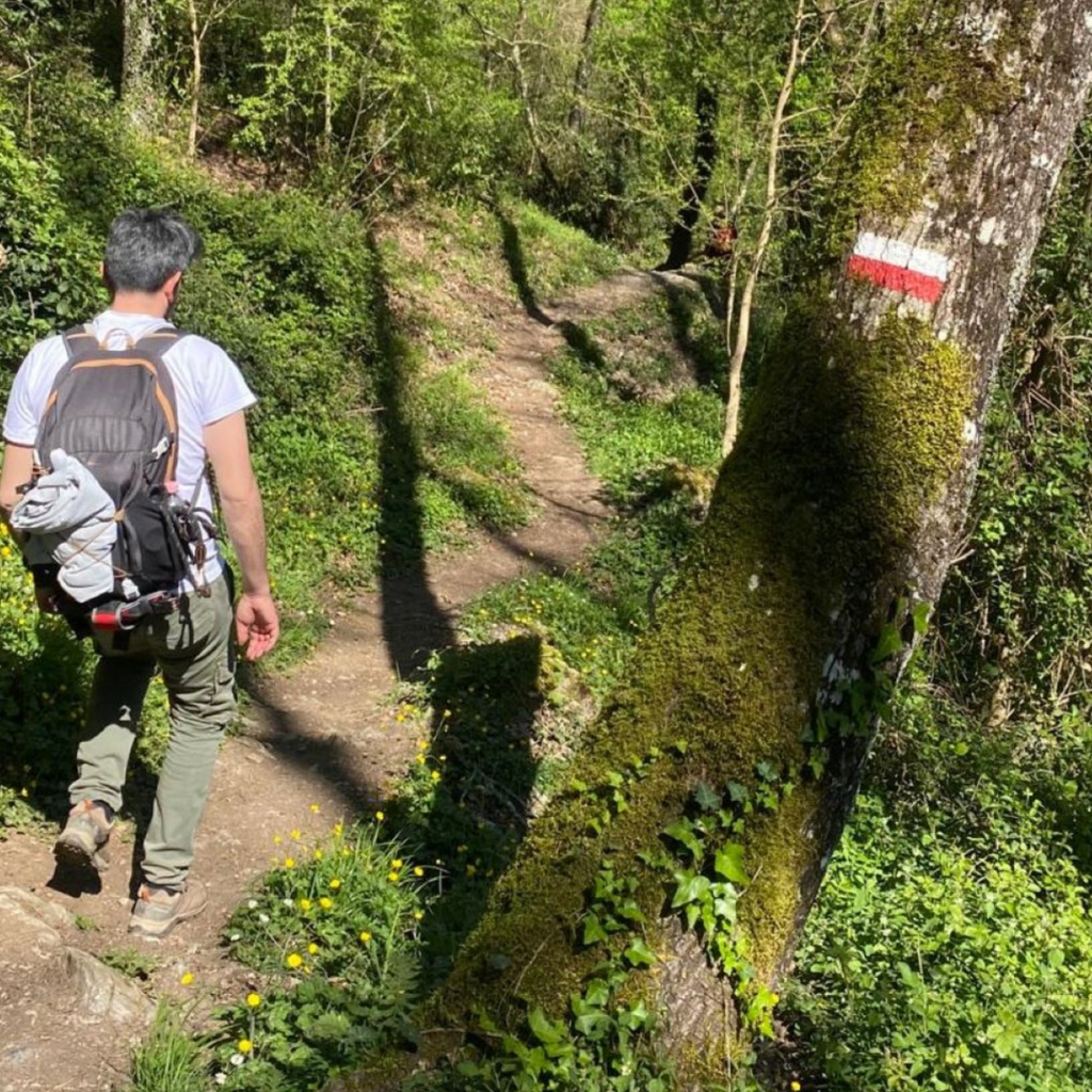 Parco del Pollino: Trekking Guidato al Bosco Magnano e al Torrente Peschiera