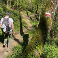 Parco del Pollino: Trekking Guidato al Bosco Magnano e al Torrente Peschiera