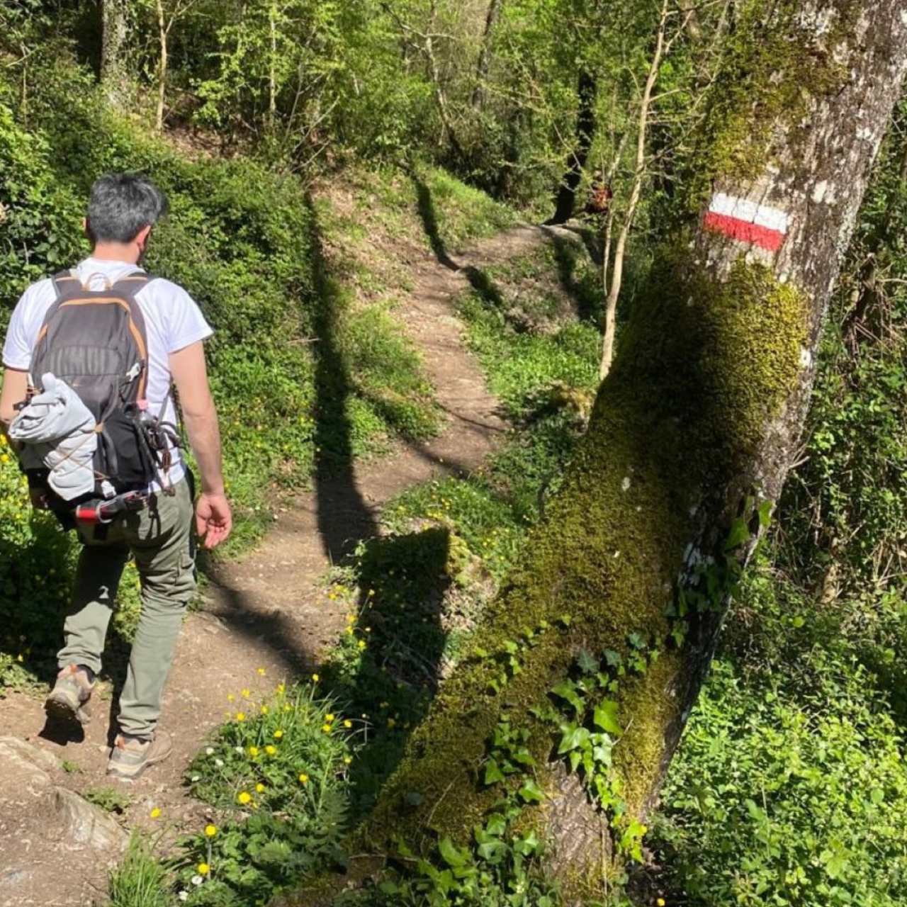 Parco del Pollino: Trekking Guidato al Bosco Magnano e al Torrente Peschiera