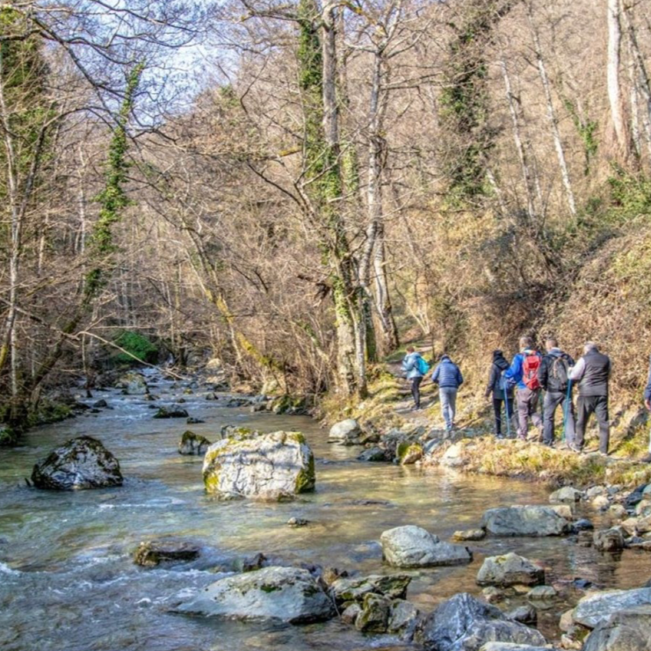 Parco del Pollino: Trekking Guidato al Bosco Magnano e al Torrente Peschiera