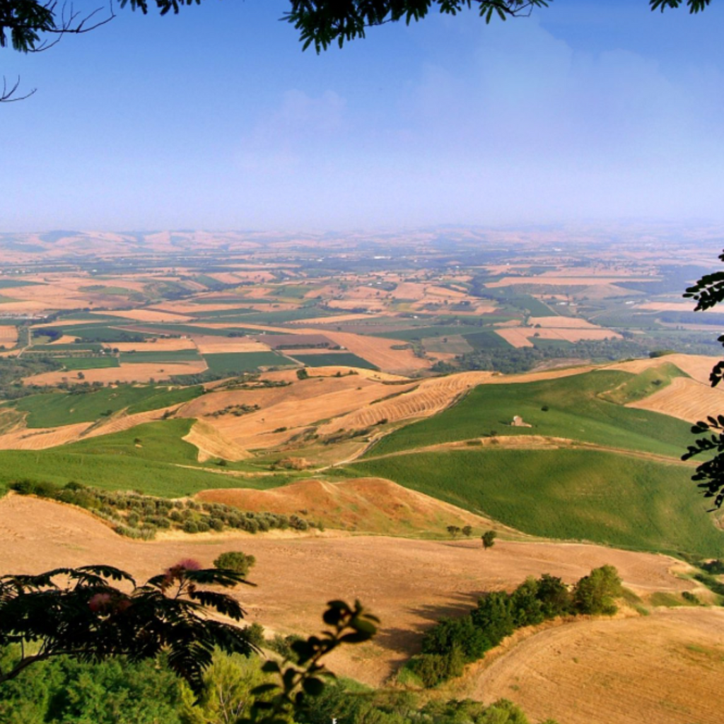 Tasting Molise 2026 – Arte, Enogastronomia e Tartufo tra Campobasso, Agnone e Termoli