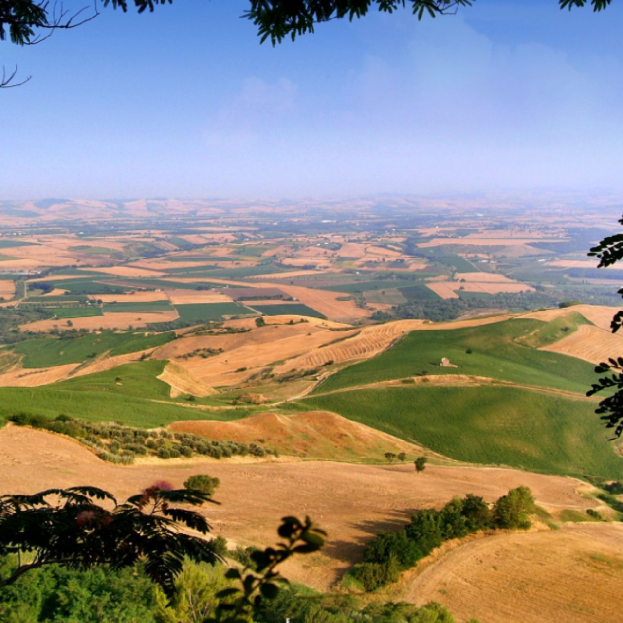 Tasting Molise 2026 – Arte, Enogastronomia e Tartufo tra Campobasso, Agnone e Termoli