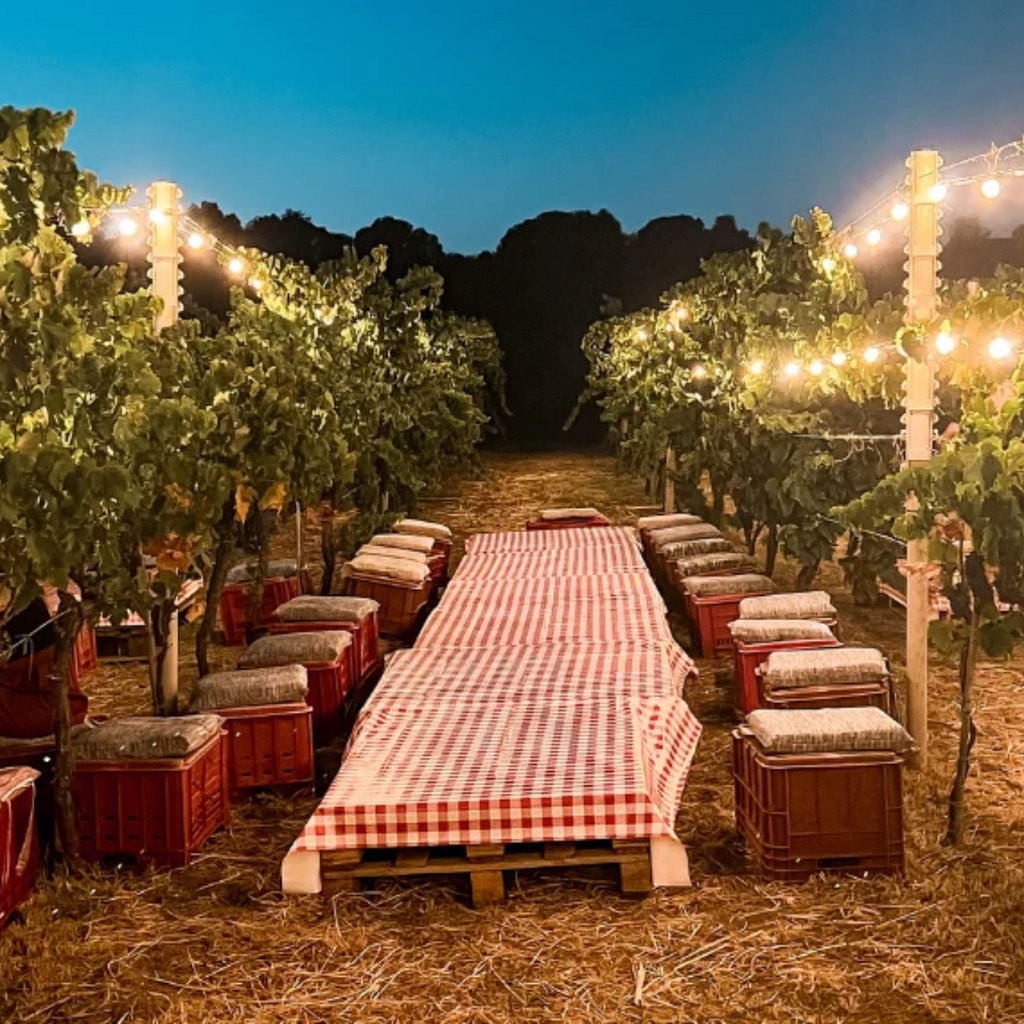 Craco al Tramonto e Aperitivo in Vigna – Ogni Giovedì e Domenica, Agosto-Settembre 2026