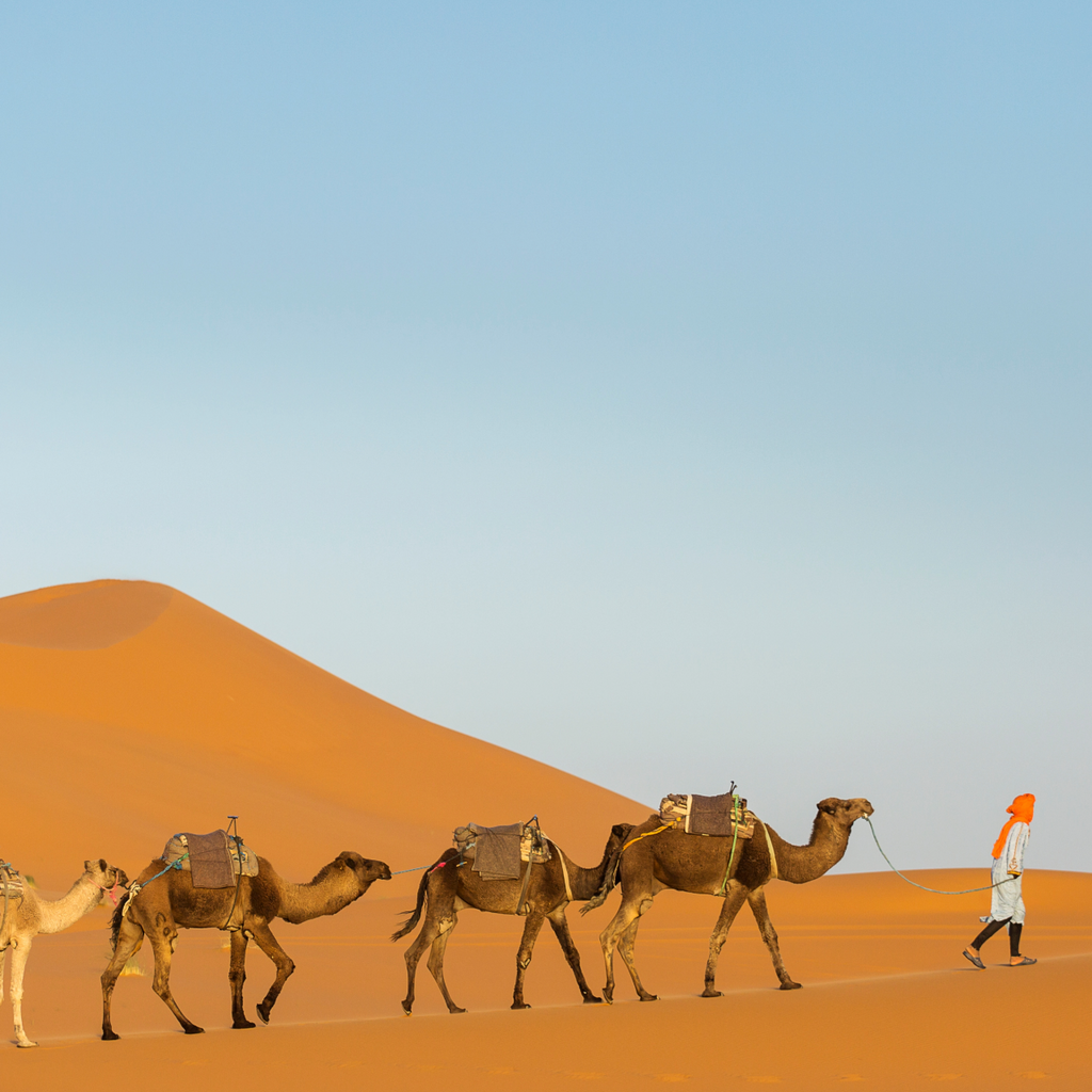 Tunisia: Oasi e Deserti – 7 Notti