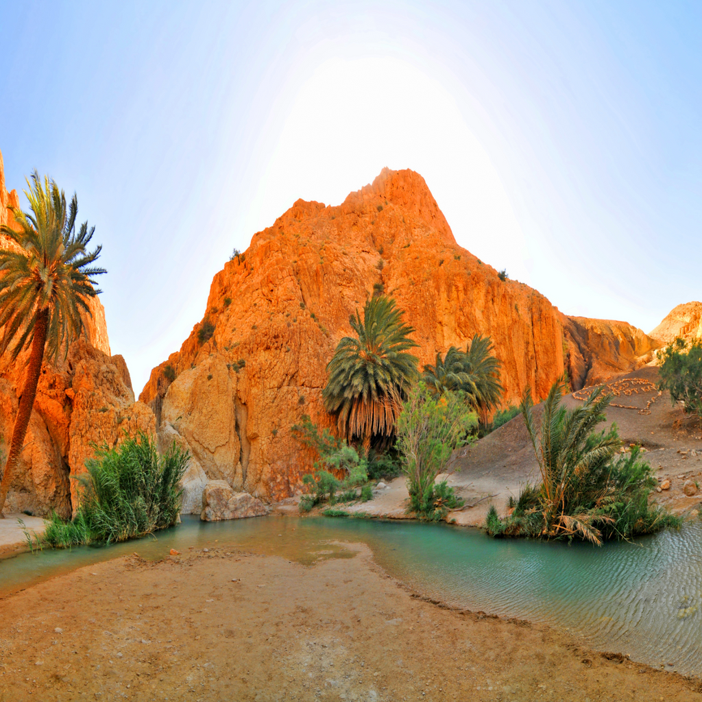 Tunisia: Oasi e Deserti – 7 Notti