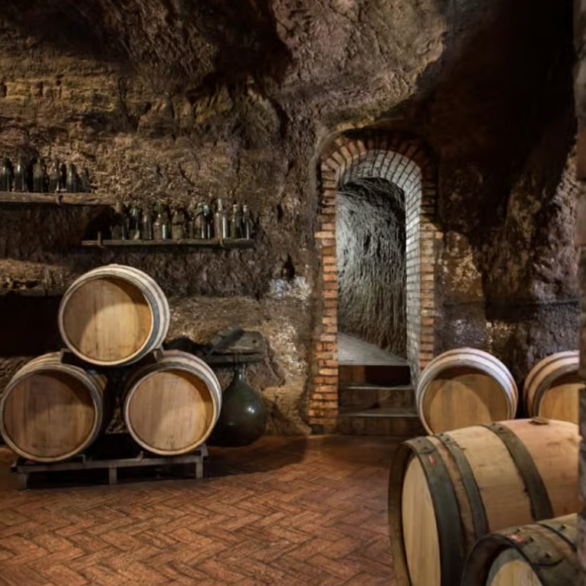 DEGUSTAZIONE NEL VULTURE MELFESE  - CANTINE DEL NOTAIO