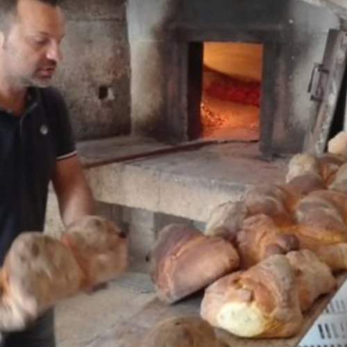 Altamura: Fornaio per un Giorno