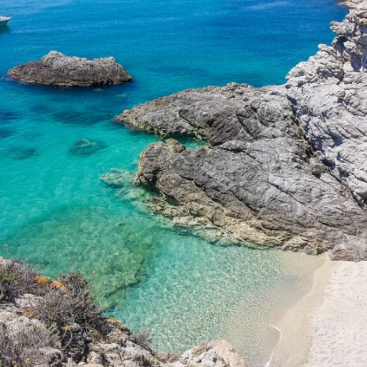 Tour in Barca da Tropea a Capo Vaticano: Sosta Bagno e Snorkeling