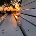 DEGUSTAZIONE DI VINI E VISITA IN MASSERIA PRESSO IL BELVEDERE DOLCECANTO - NEL CUORE DEL PARCO NAZIONALE DELL'ALTA MURGIA
