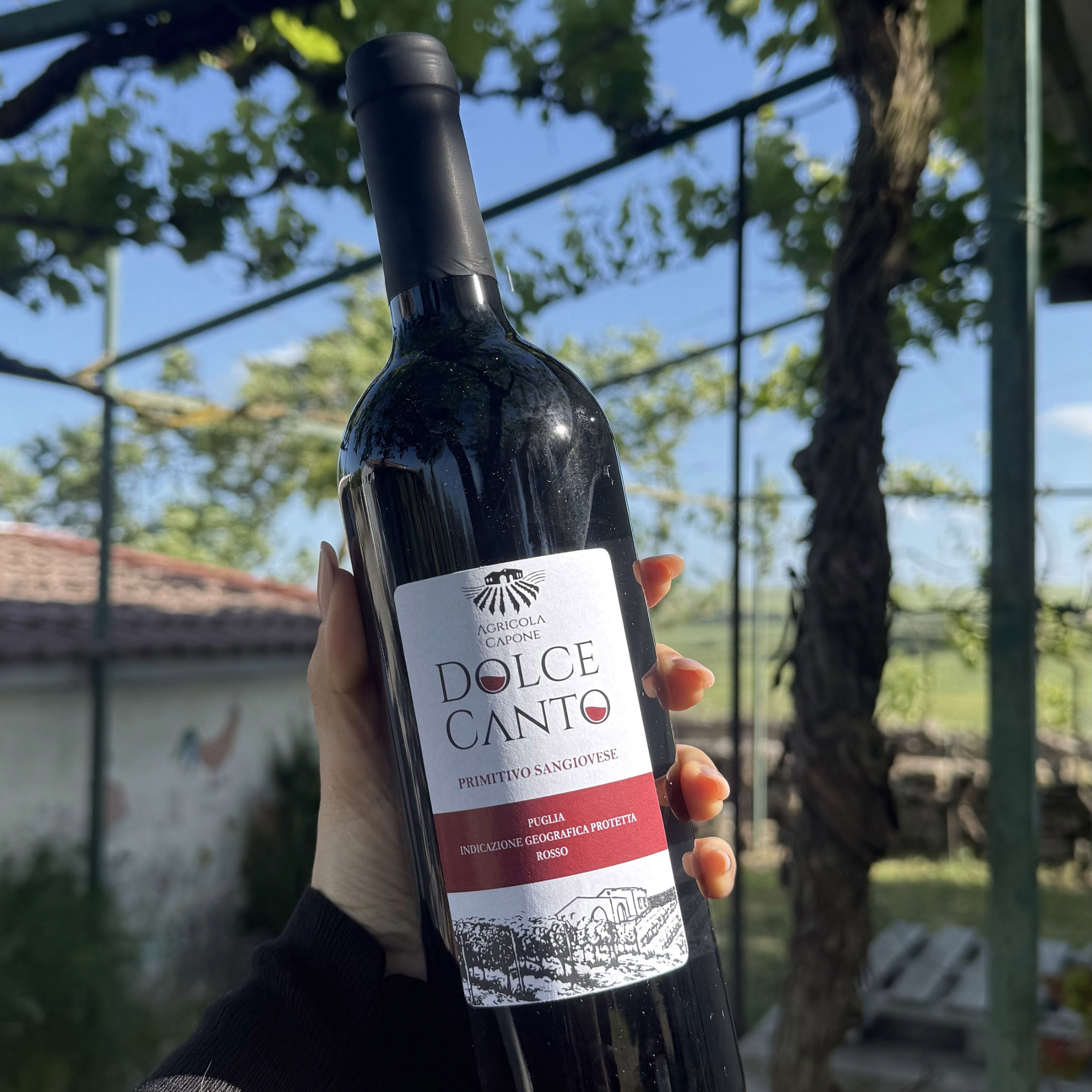 TOUR DELLA MASSERIA E DEGUSTAZIONE DI VINI A GRAVINA IN PUGLIA