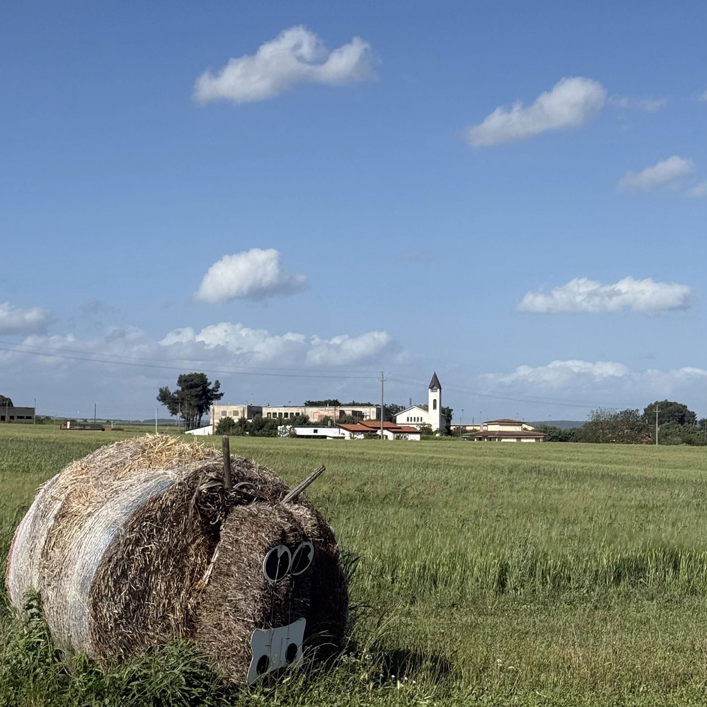 TOUR DELLA MASSERIA E DEGUSTAZIONE DI VINI A GRAVINA IN PUGLIA