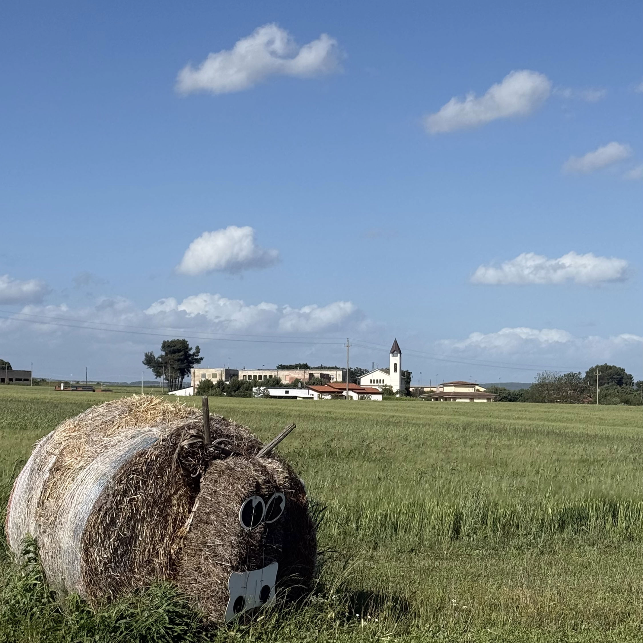 TOUR DELLA MASSERIA E DEGUSTAZIONE DI VINI A GRAVINA IN PUGLIA