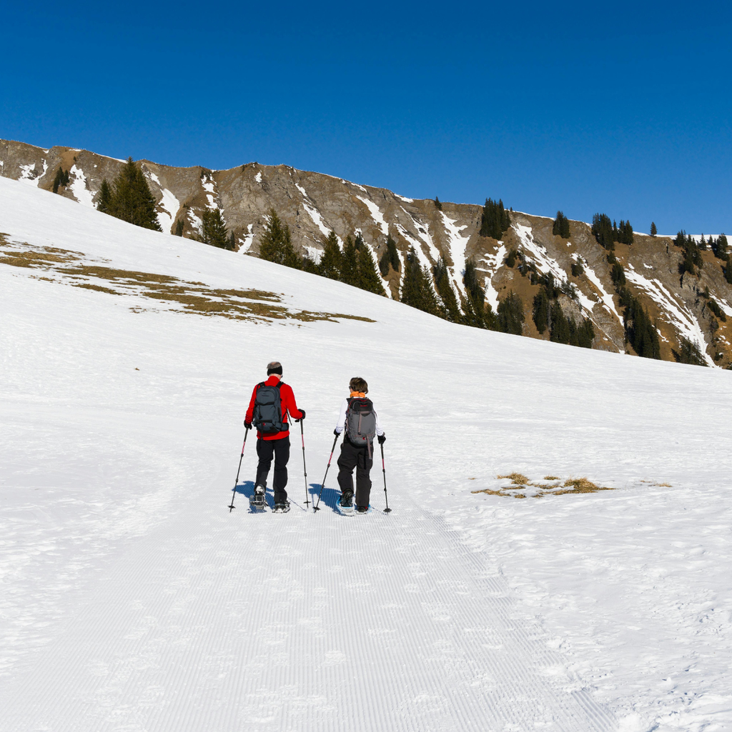 Ciaspolata sul Gennargentu: Divertimento sulla Neve verso la Vetta della Sardegna