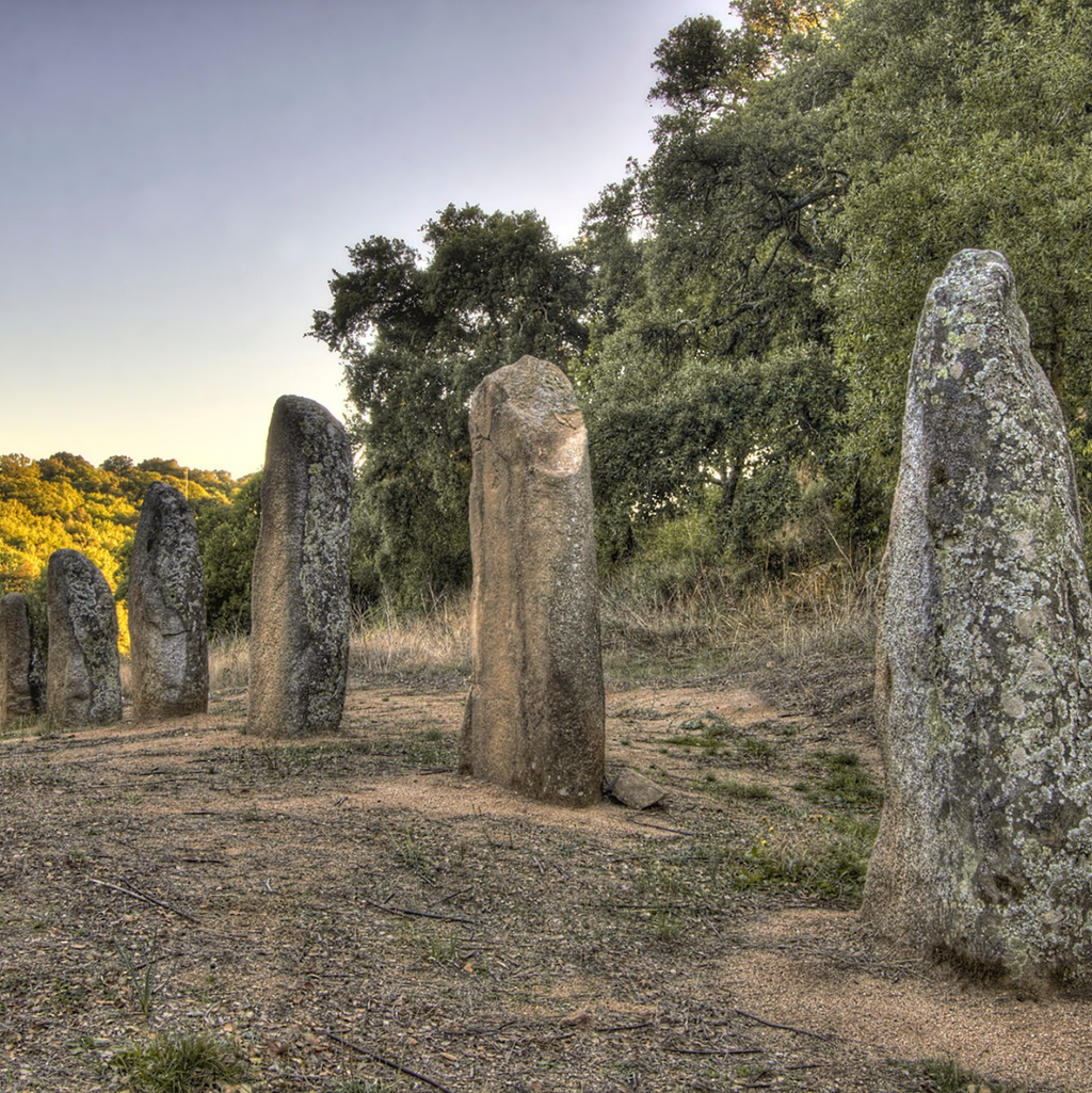 Archeo-Wine Tour nel Mandrolisai: Nuraghi, Menhir e Vino Rosso