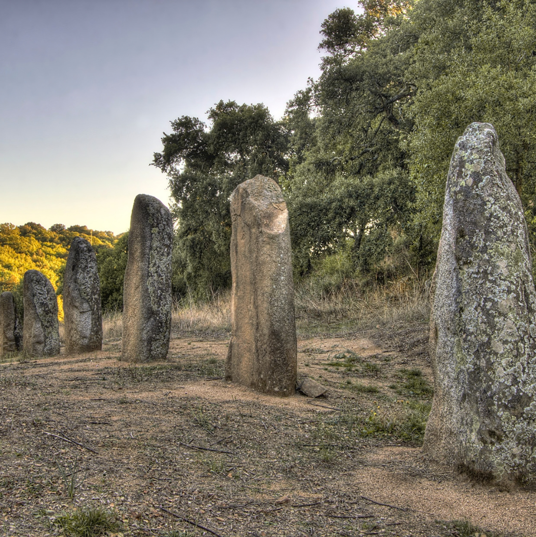 Archeo-Wine Tour nel Mandrolisai: Nuraghi, Menhir e Vino Rosso