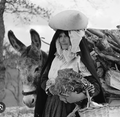 “1953” – Tour Guidato dei Nuovi Rioni di Matera