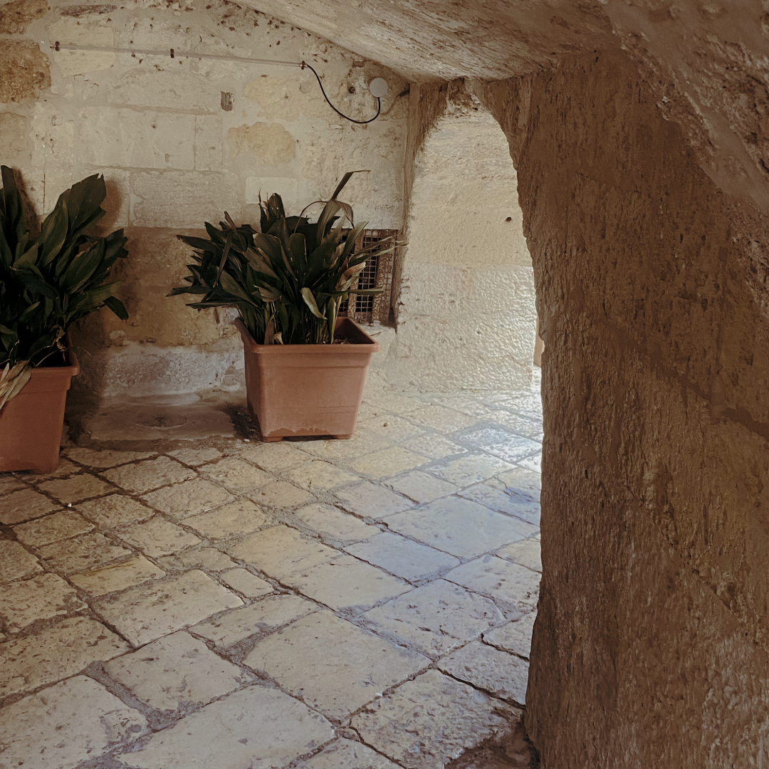 ALTAMURA: LA LEONESSA DI PUGLIA