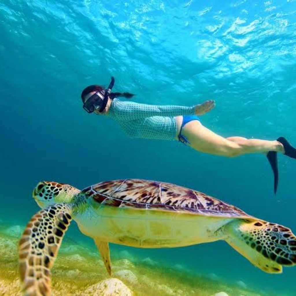 Tour in Barca e Snorkeling da Sorrento con Biologo Marino