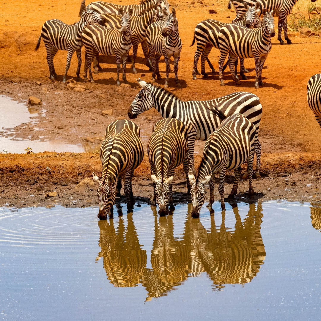 KENYA – Blue Bay 29 Luglio