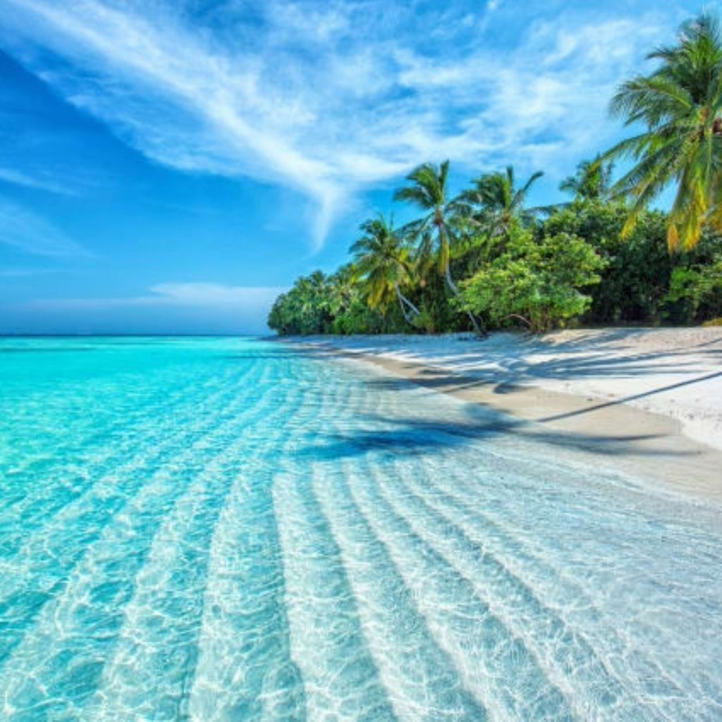India & Maldive 2026/2027