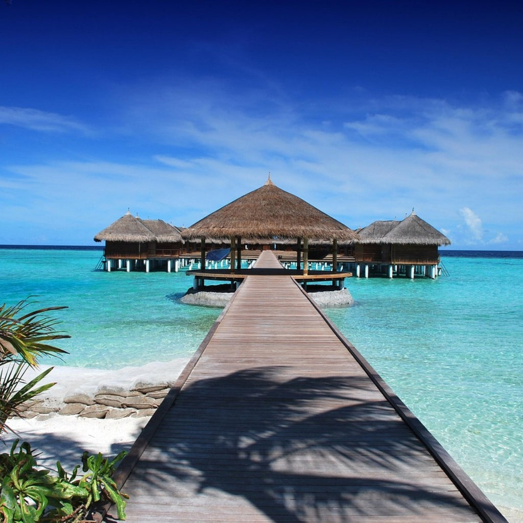 India & Maldive 2026/2027