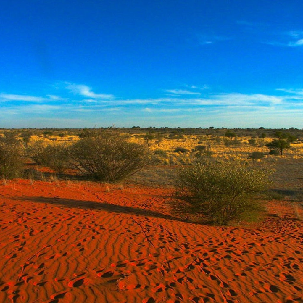 NAMIBIA da Maggio a Dicembre – Meraviglie Africane