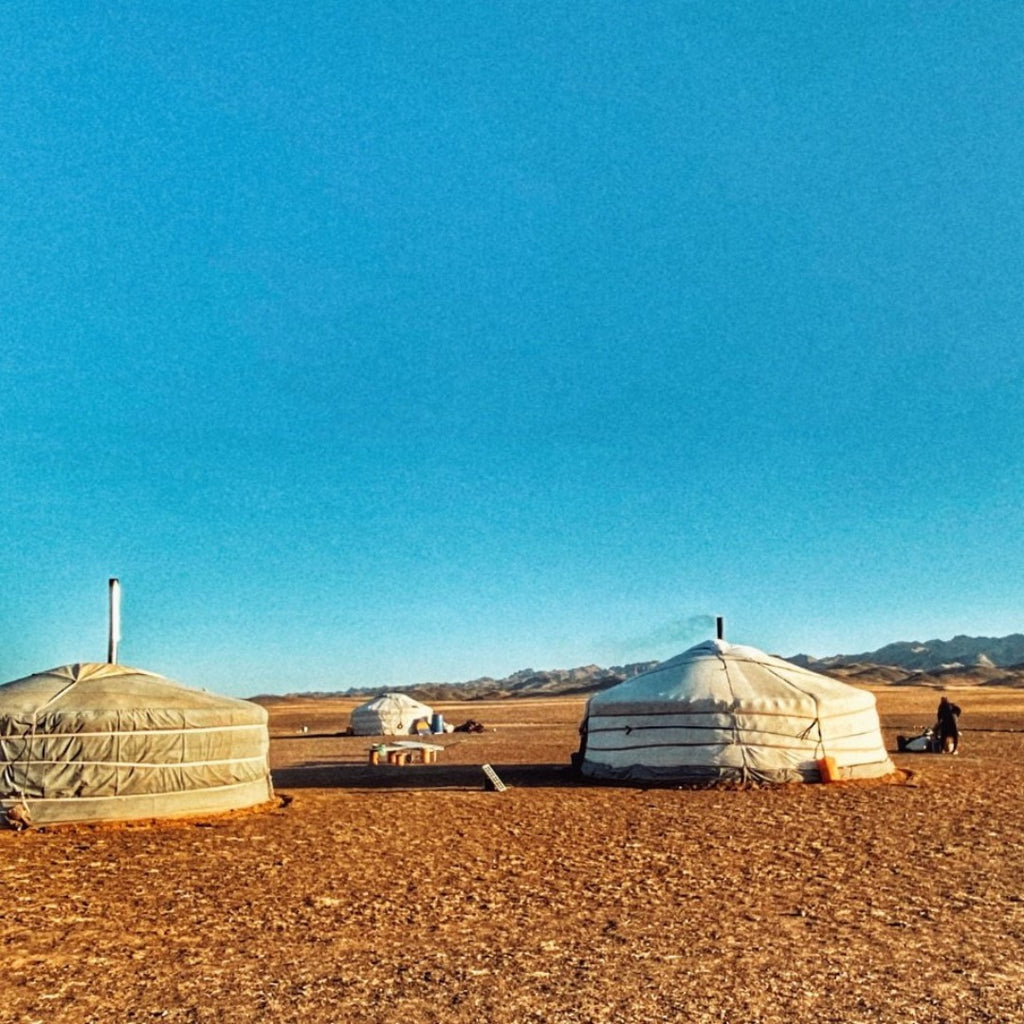 MONGOLIA 8 Giugno – TOUR NEL DESERTO DEL GOBI