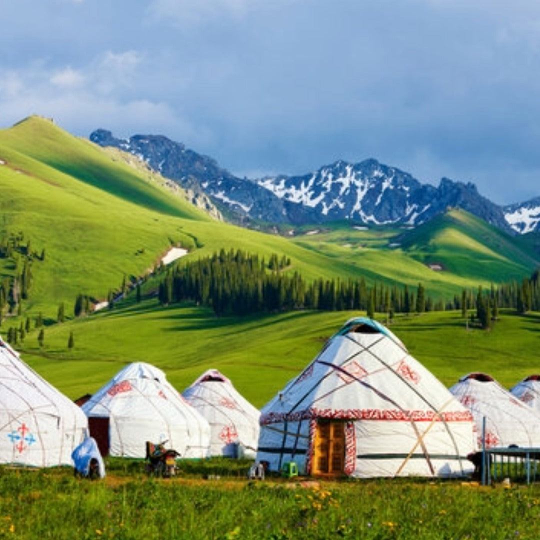MONGOLIA 8 Giugno – TOUR NEL DESERTO DEL GOBI