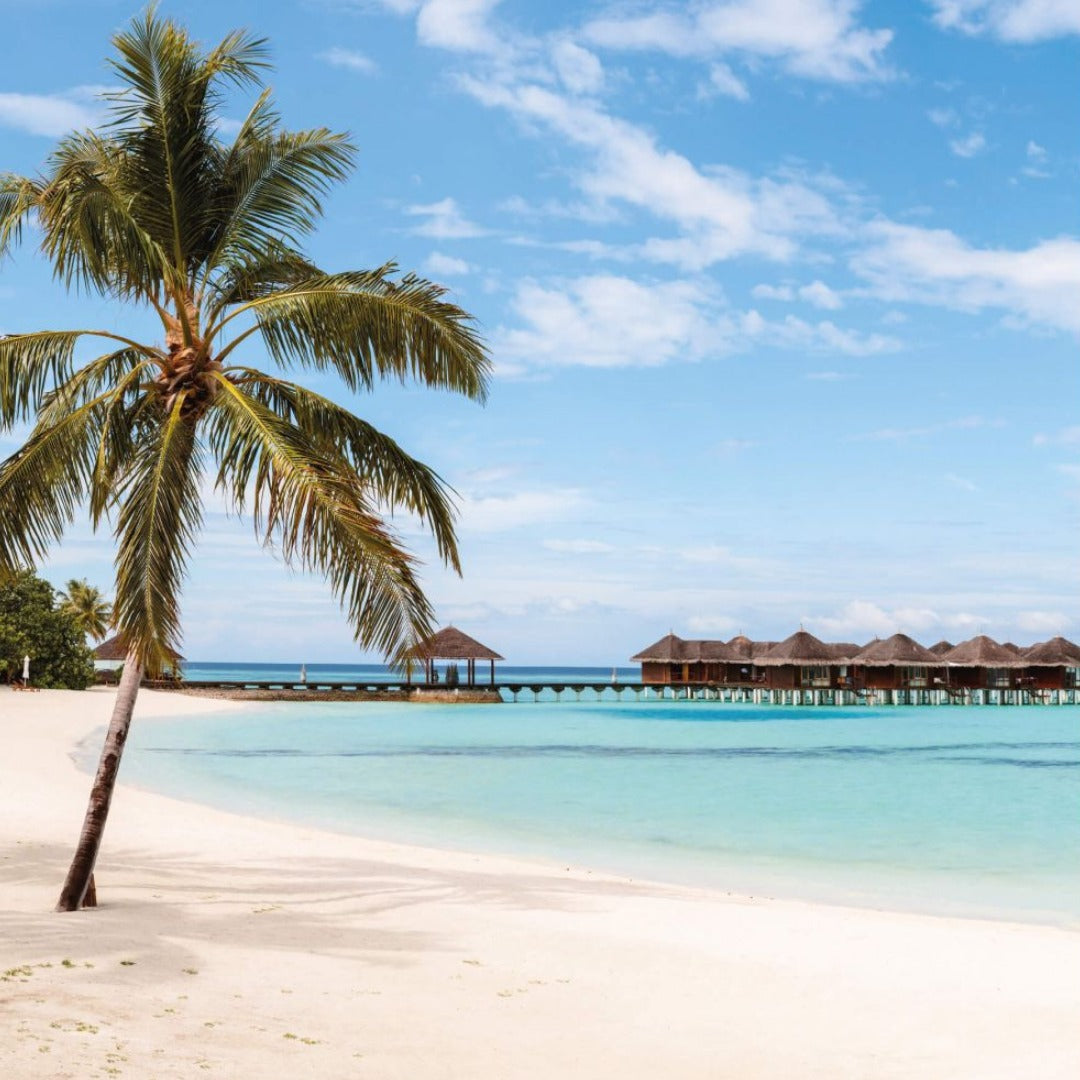 MALDIVE – Ayada Maldives Maggio – Giugno 2026