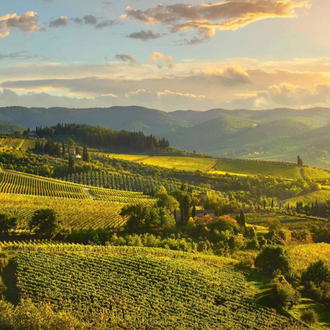 TOUR DEL CHIANTI 19 Settembre