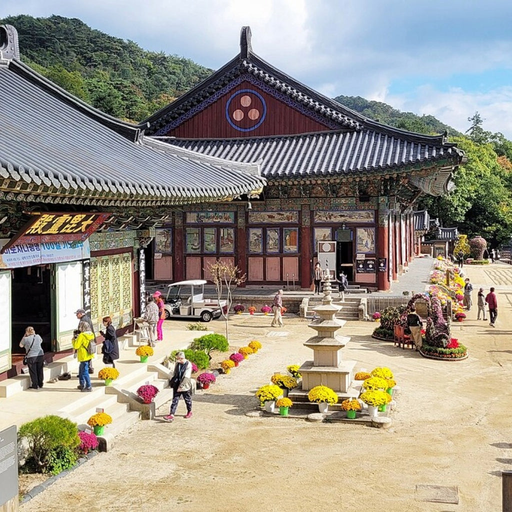 KOREAN DREAM 18 Ottobre – Corea del Sud