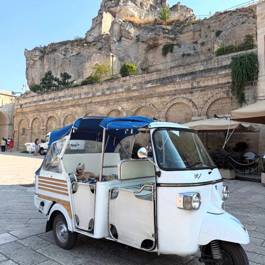 TOUR PANORAMICO DI MATERA IN APE CALESSINO